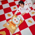 Almohada de la serie Wacky Mart de Labubu The Monsters (papas fritas) 3