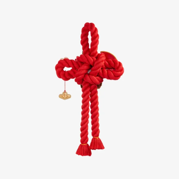Decoración de puerta de peluche para celebrar el Año Nuevo de la Serpiente Adinerada de Labubu 1
